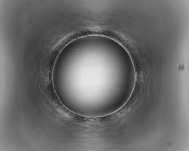 X0000091851205200709051139