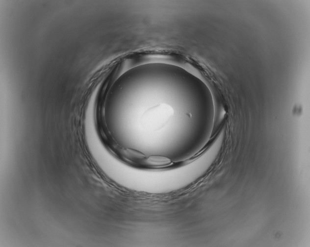 X0000091851206200709051139