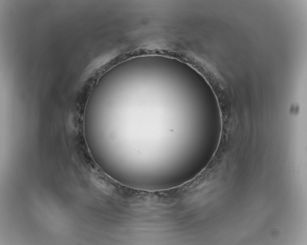 X0000091851207200709051139