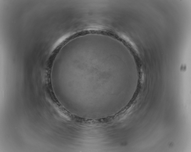 X0000091851208200709051139