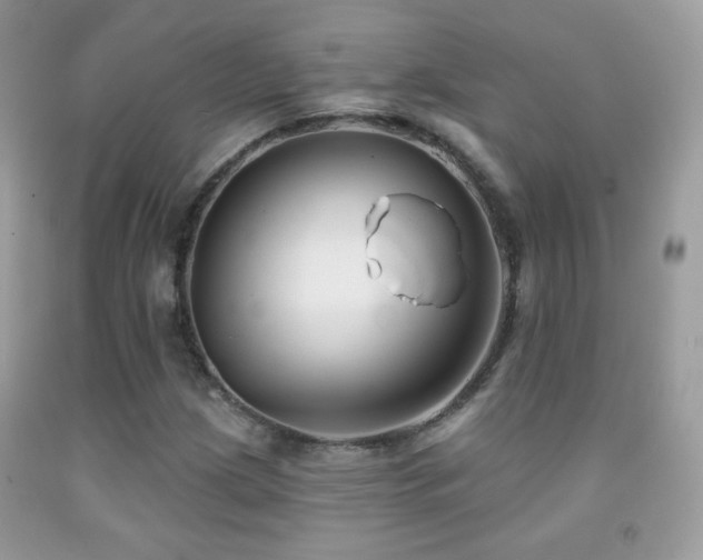 X0000091851209200709051139