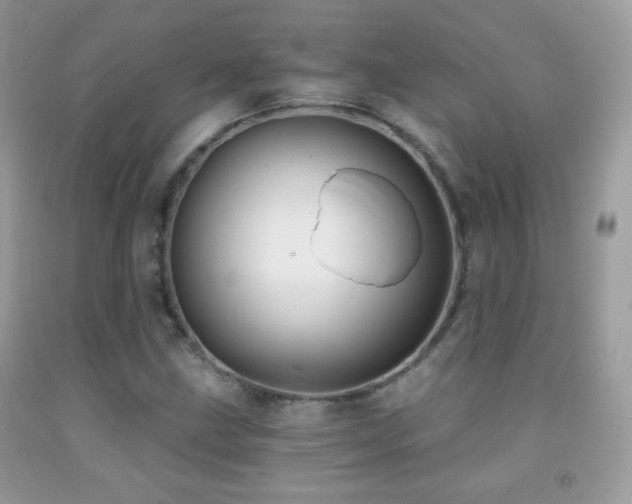 X0000091851211200709051139