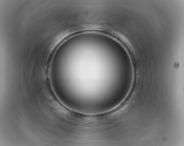 X0000091851212200709051139