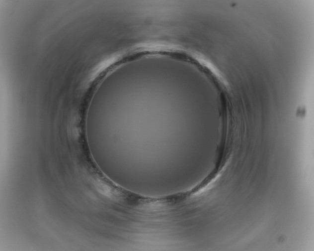X0000091851213200709051139