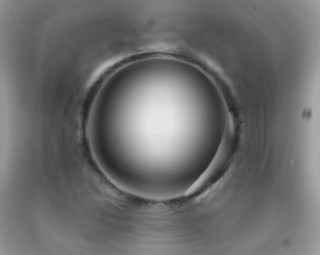 X0000091851214200709051139