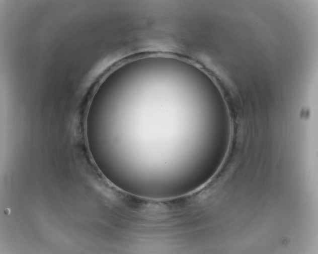 X0000091851215200709051139