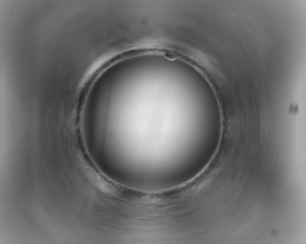 X0000091851216200709051139