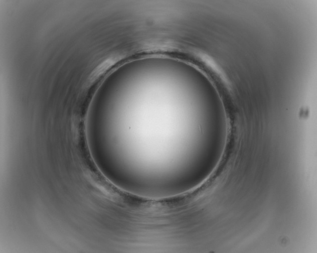 X0000091851217200709051140