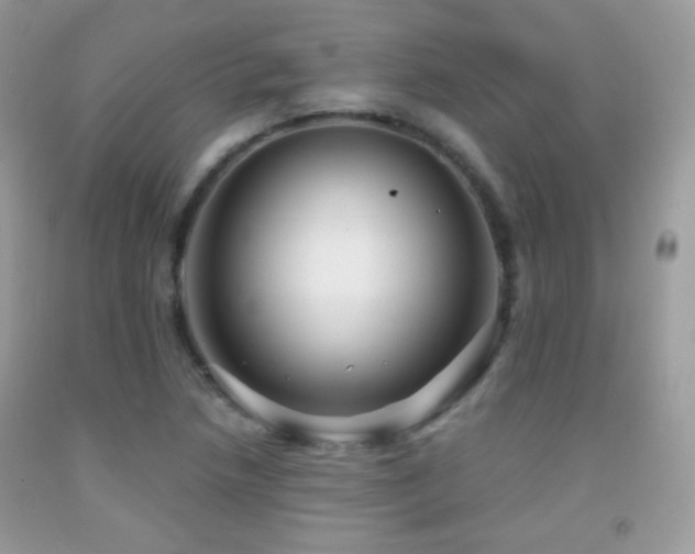 X0000091851218200709051140