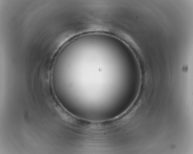 X0000091851220200709051140