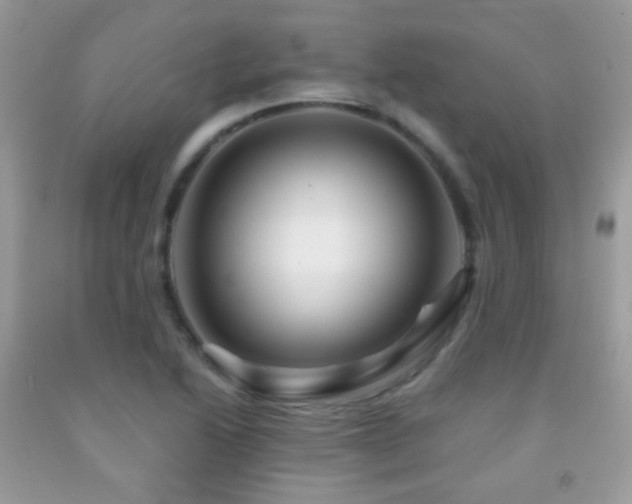 X0000091851222200709051140