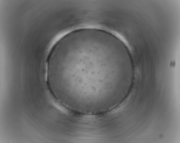 X0000091851223200709051140