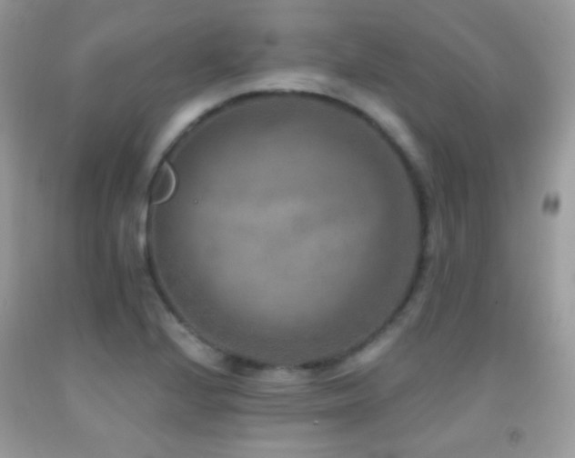 X0000091851224200709051140