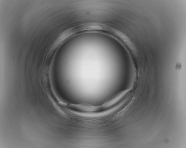 X0000091851225200709051140