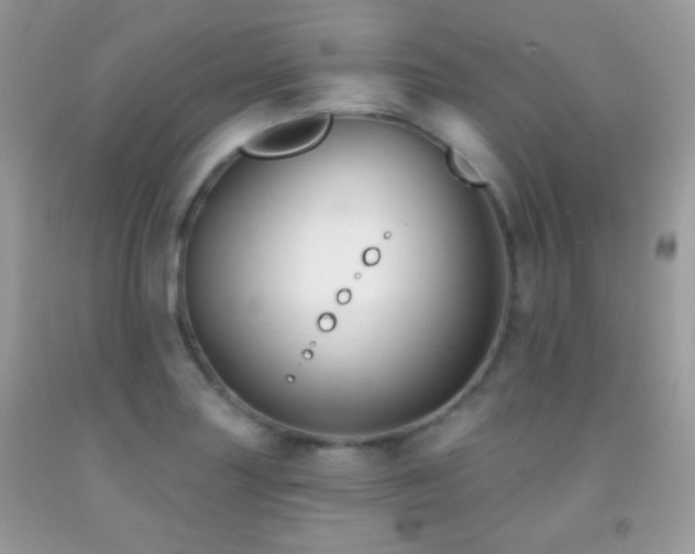 X0000091851227200709051140