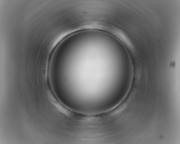 X0000091851228200709051140