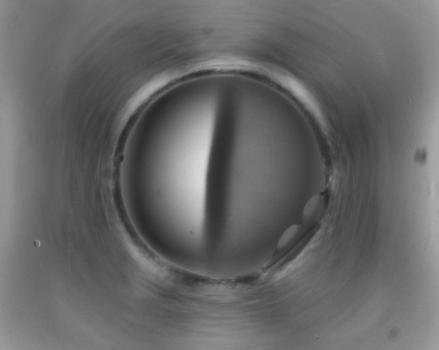 X0000091851229200709051140