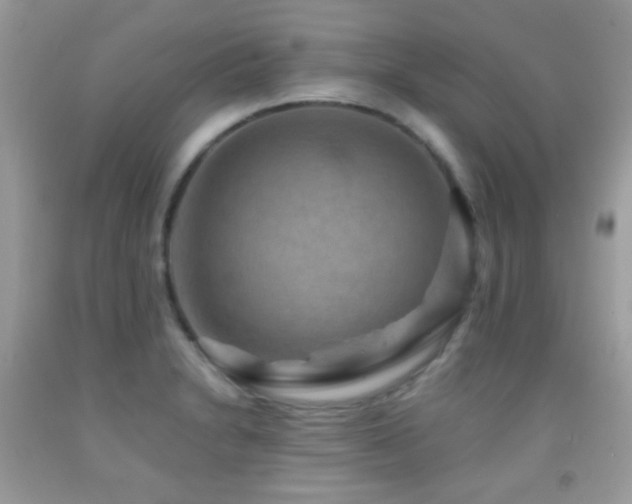 X0000091851230200709051140