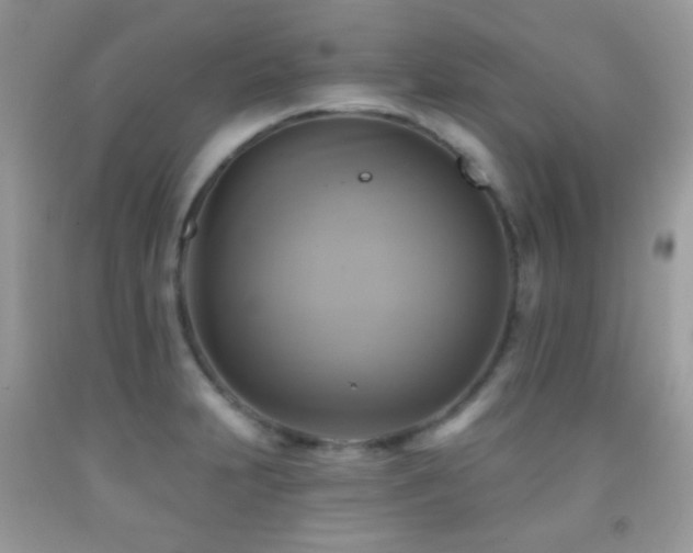 X0000091851231200709051140