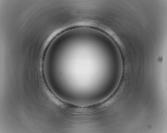 X0000091851232200709051140