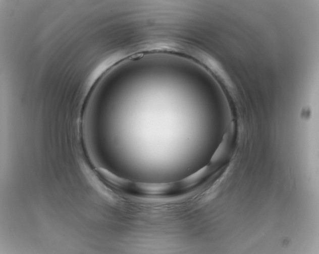X0000091851234200709051140
