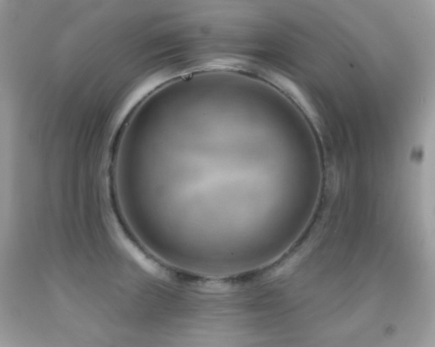 X0000091851235200709051140
