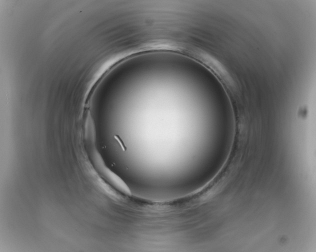 X0000091851236200709051140