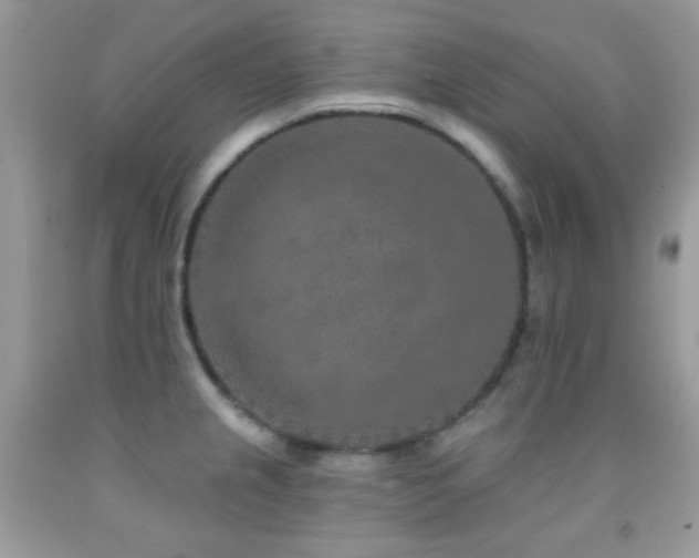 X0000091851237200709051140