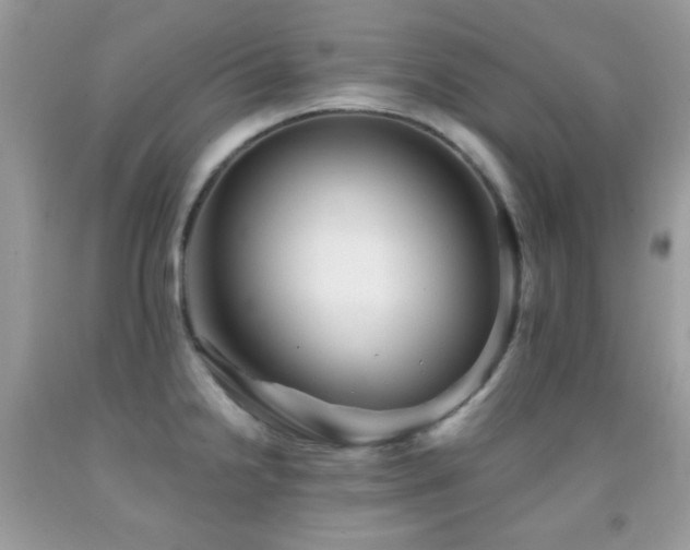 X0000091851238200709051140