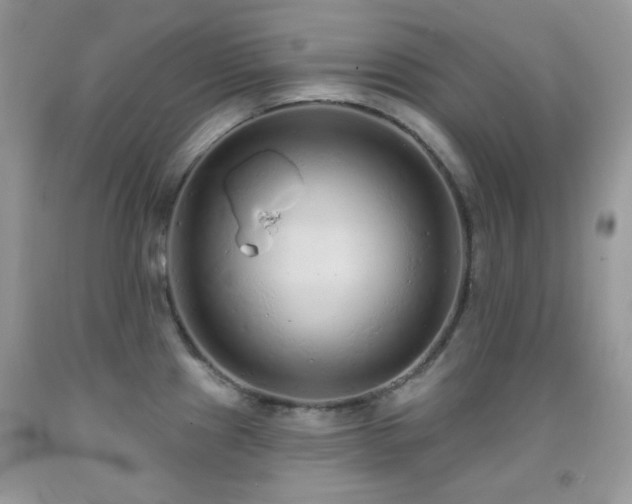 X0000091851241200709051140