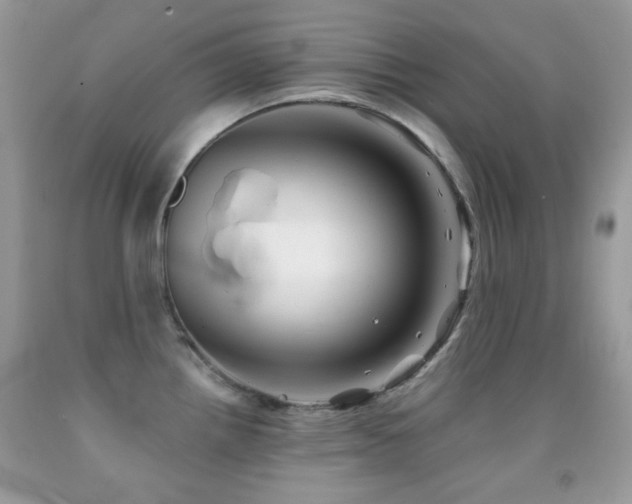 X0000091851242200709051140