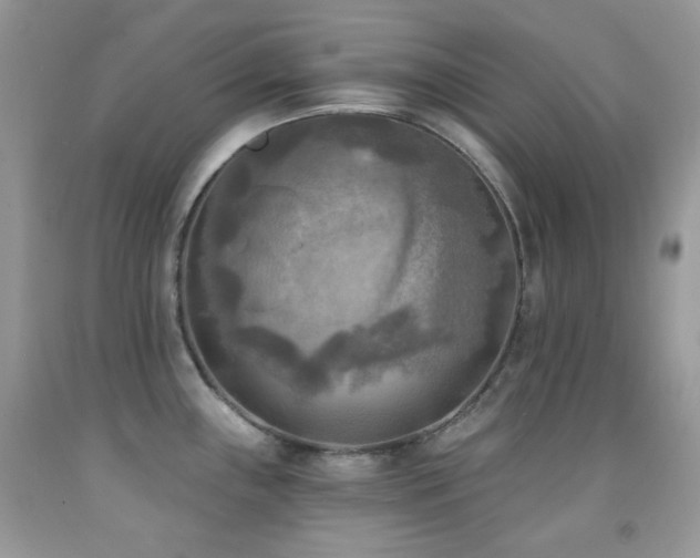 X0000091851243200709051140