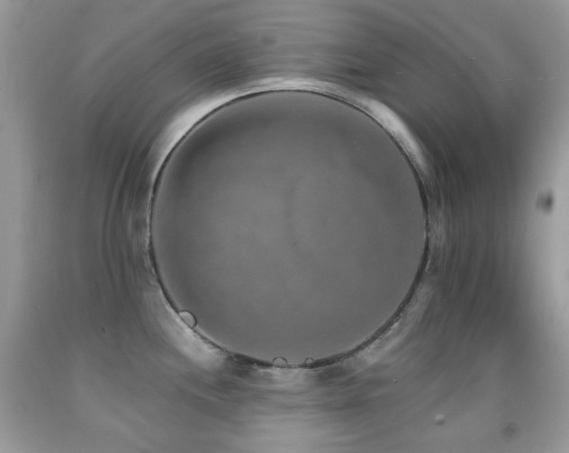 X0000091851244200709051140