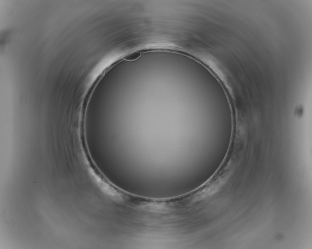 X0000091851245200709051140