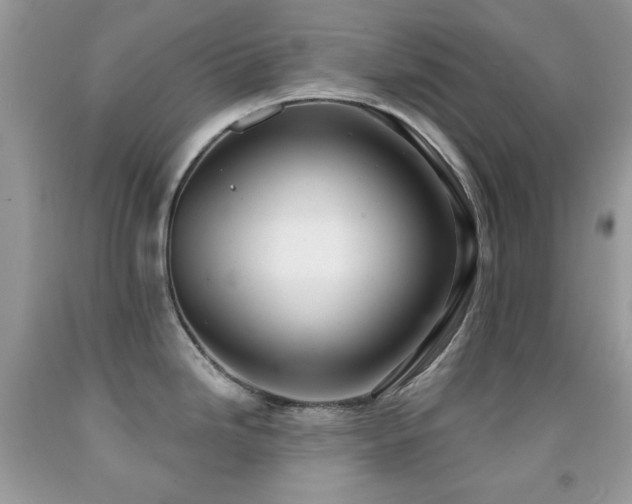 X0000091851246200709051140