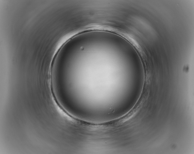X0000091851247200709051140