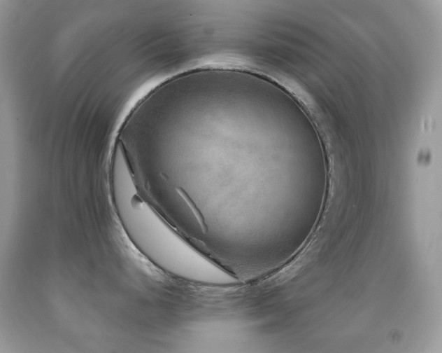 X0000091851248200709051140