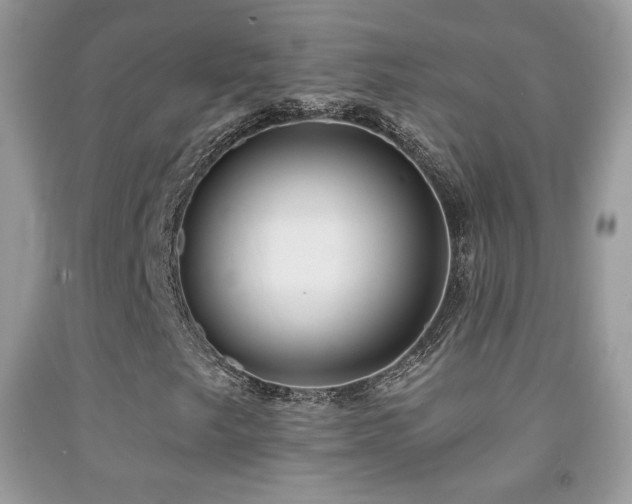 X0000091851249200709051139