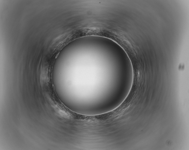 X0000091851250200709051139