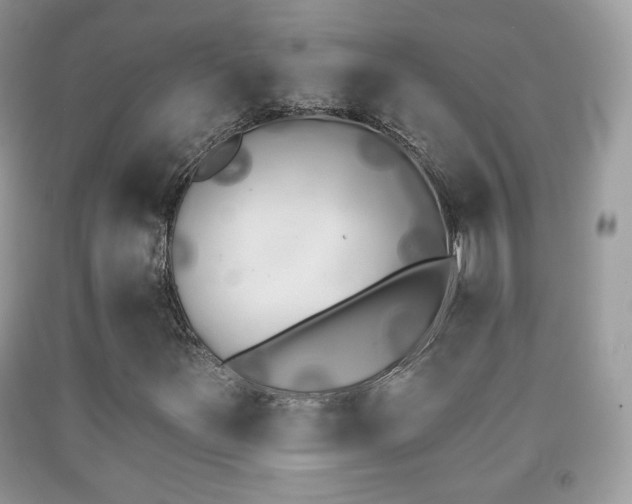 X0000091851251200709051139