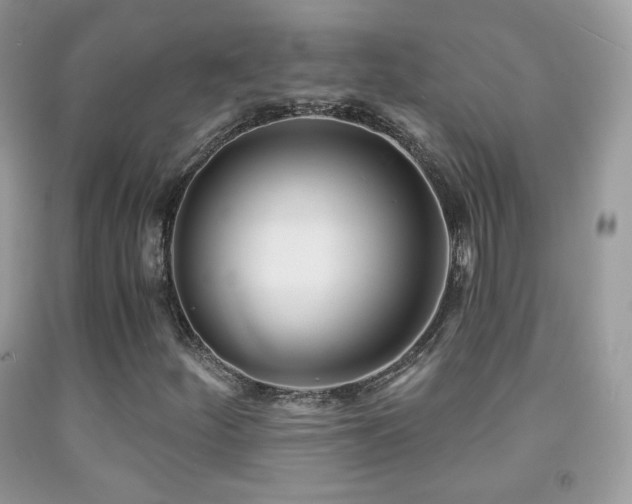 X0000091851252200709051139