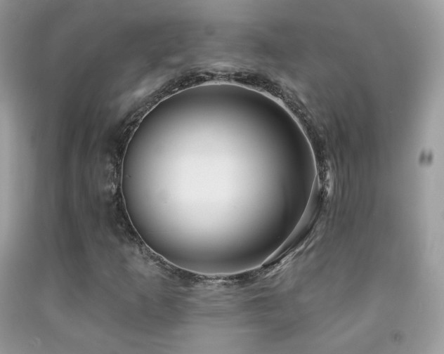 X0000091851253200709051139