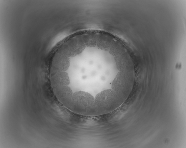 X0000091851255200709051139
