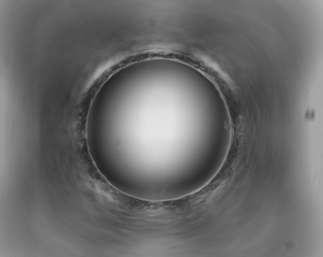 X0000091851256200709051139