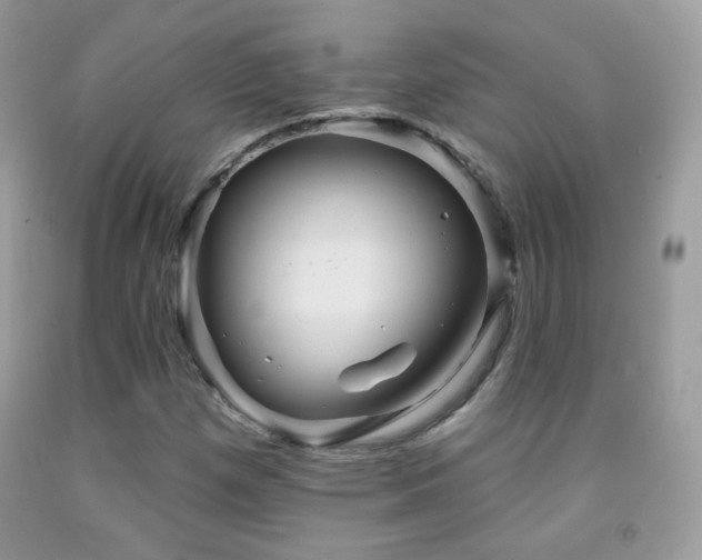 X0000091851257200709051139