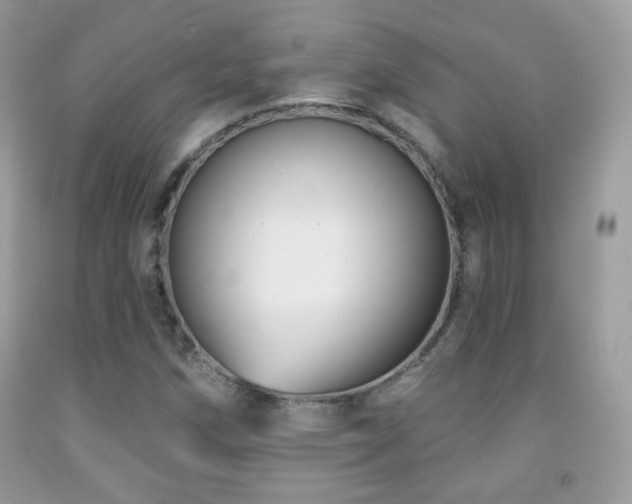 X0000091851258200709051139