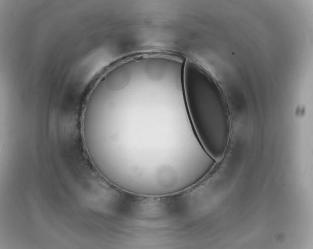 X0000091851259200709051139