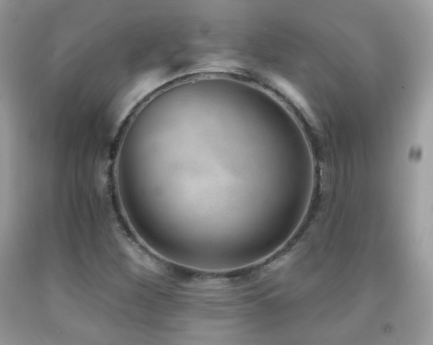 X0000091851260200709051139