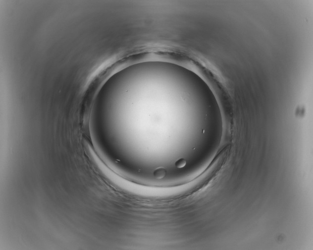 X0000091851261200709051139