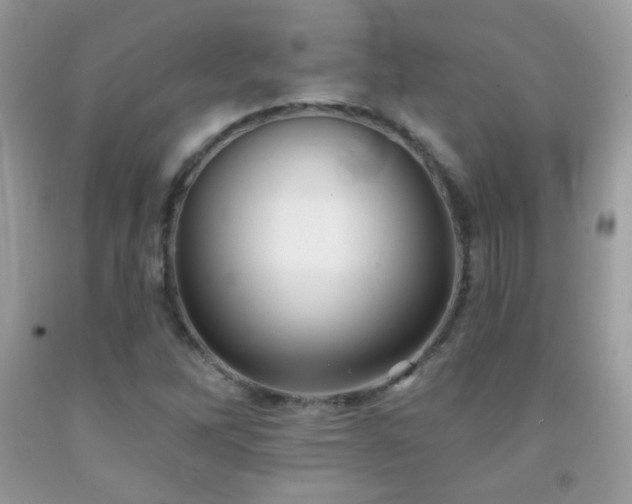 X0000091851262200709051139